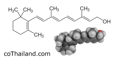 วิตามินเอ-retinol-cothailand.com